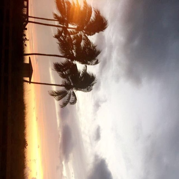 Meet your Posher, Holly - Picture 1 of 1